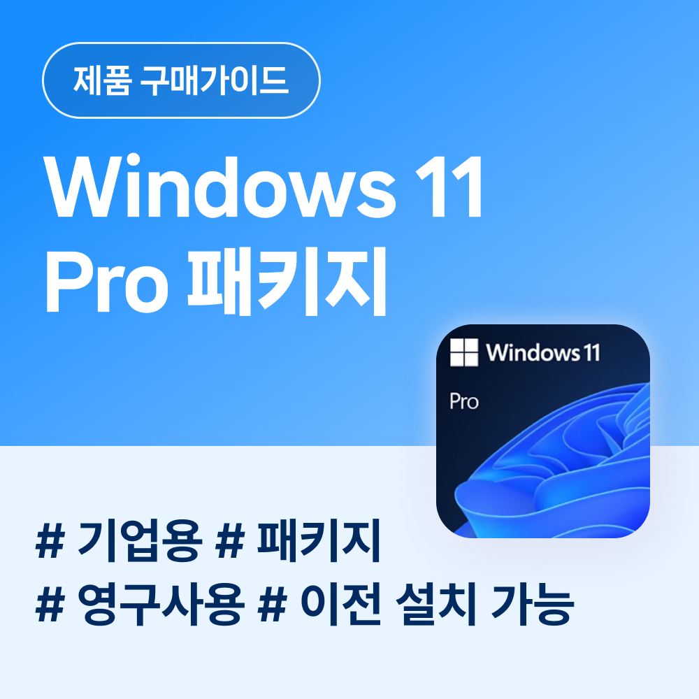 윈도우 프로 패키지.png